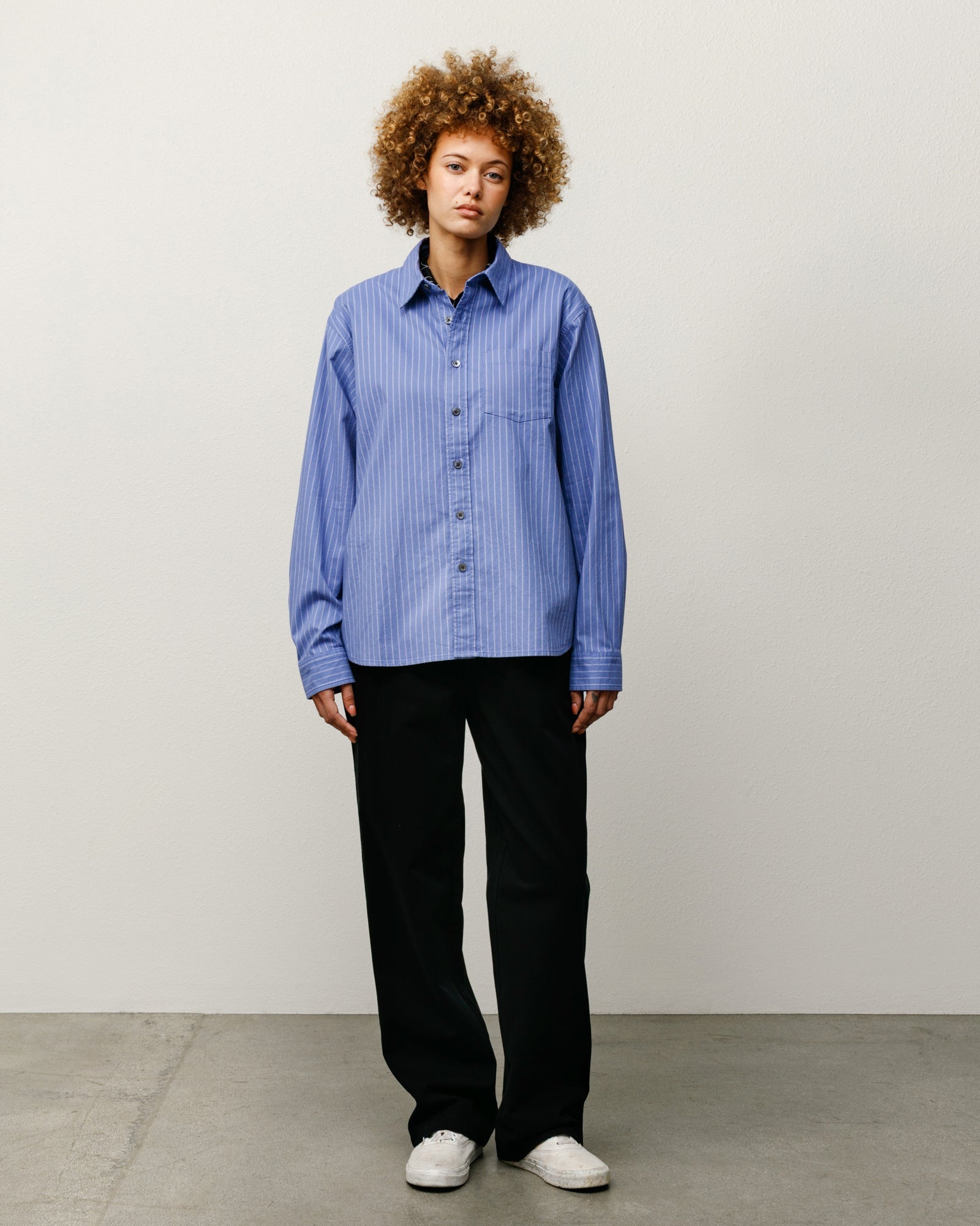 Stussy Men's Oxford Shirt Blue Stripe